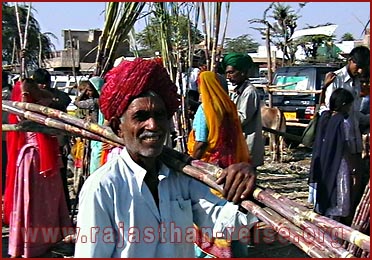 Farmer of Rajasthan