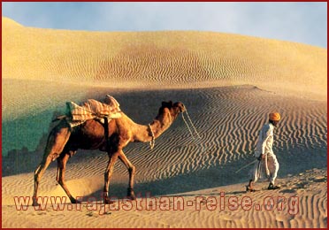 Dunes in Jaisalmer