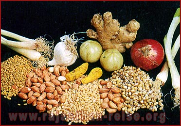 Seeds, Roots and Herbs of Rajasthan