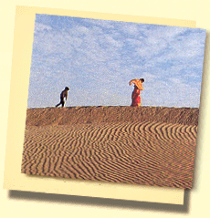 11 Tage in der Wüste von Shekhawati, Rajasthan !